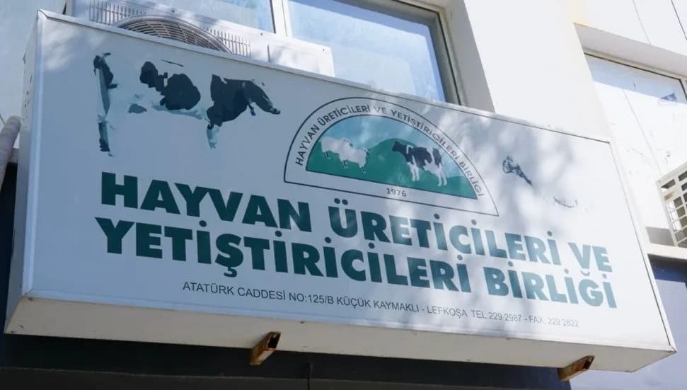 Hayvancılar Birliği'nden 6 ton kaçak et tepkisi: Bu etleri kim getirdi? Kim dağıttı? Kim kazandı?