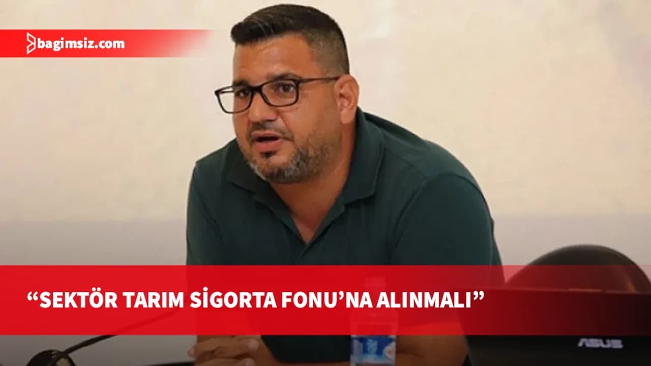 Sarpten'den kapsamlı balıkçılık politikası çağrısı: Her barınakta tam donanımlı kurtarma botu olmalı