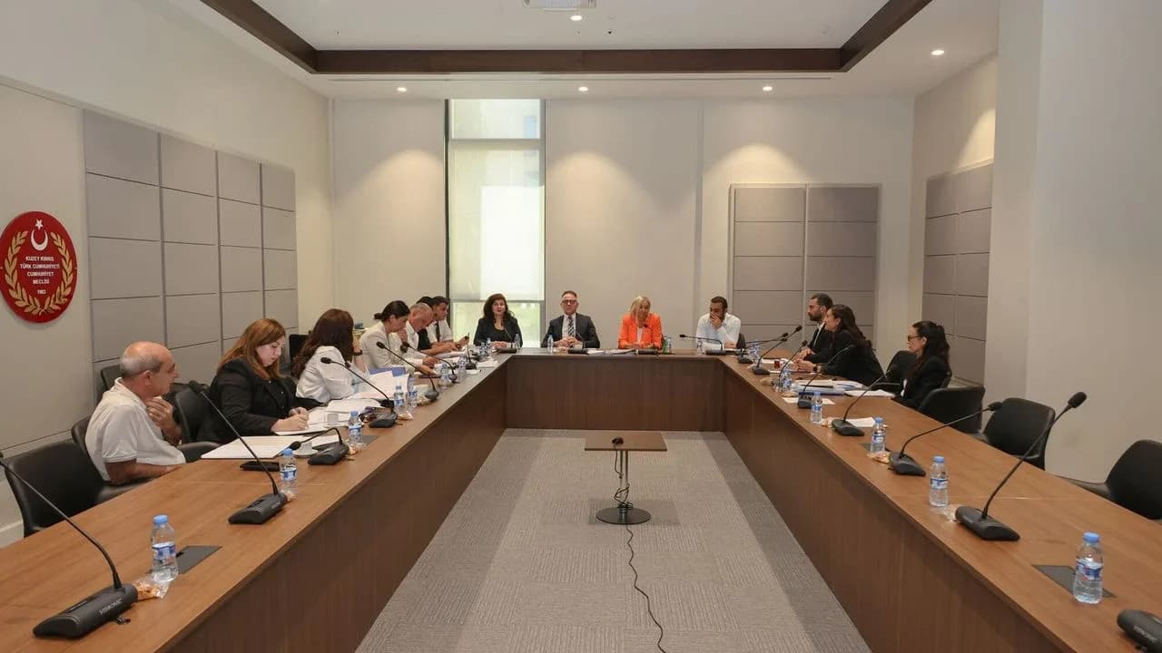 Hukuk Komitesi’nde bir yasa, bir de karar tasarısı görüşüldü