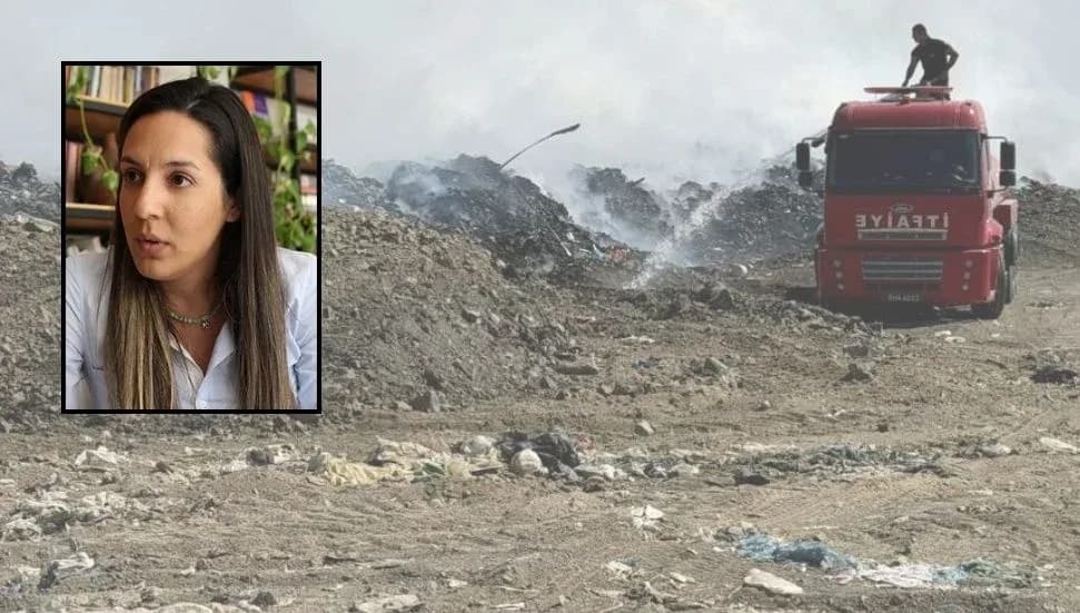 Yeşil Barış Hareketi: Çevre Koruma Dairesi’nin görevi yangından sonra tespit yapmak değil, çevreyi korumaktır