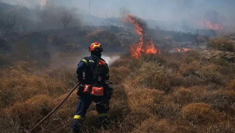 Yunanistan'ın Attika ve Etoloakarnania bölgelerinde yangın çıktı