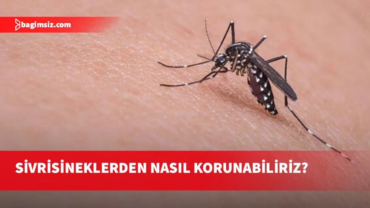 KTTB Batı Nil Virüsünden korunmak için alınması gereken önlemleri aktardı