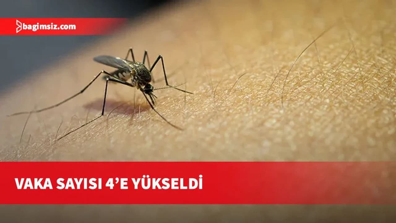 Batı Nil Virüsü vakalarında sayı 4’e yükseldi