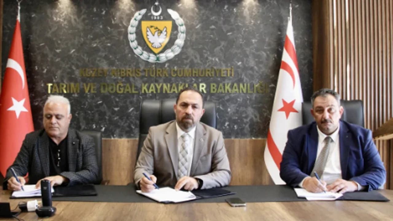 Yukarı Dikmen deresine 7 bin 500 metreküplük su tutucu yapı