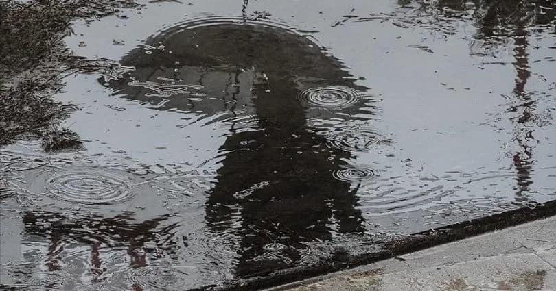 En fazla yağış Kaleburnu ve Dipkarpaz’a düştü