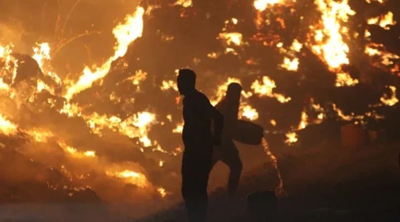 Antalya ve Adana’daki yangınlarda son durum: Cansiparane müdahale sürüyor