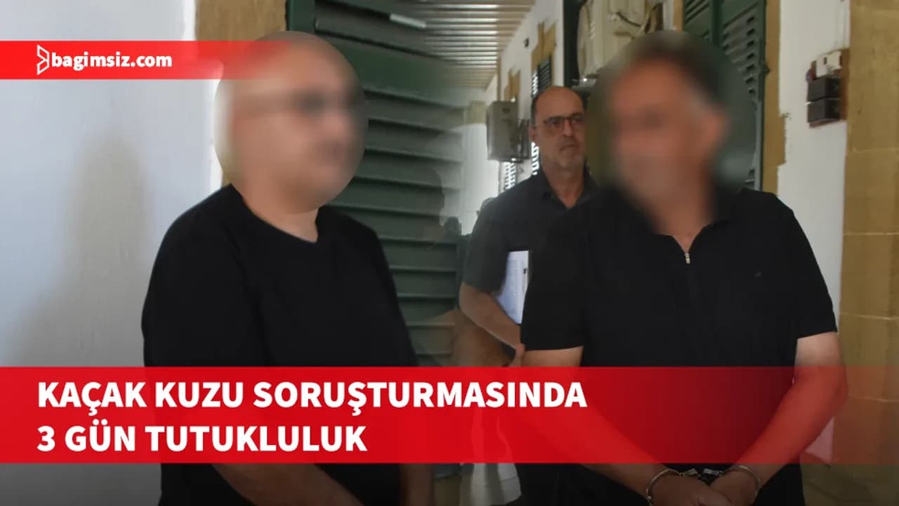 Güney Kıbrıs’tan getirildiği iddia edilen 233 kuzu için soruşturma sürüyor