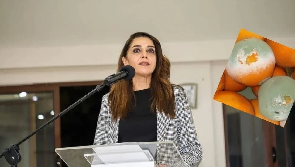 Fide Kürşat: Cypfruvex’teki sürecin kokusu Karpaz’a kadar ulaştı
