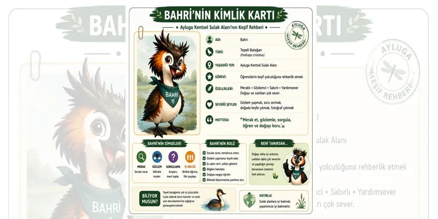 MAKAMER, öğretmenlere yönelik Ayluga Sulak Alanı eğitimi düzenliyor