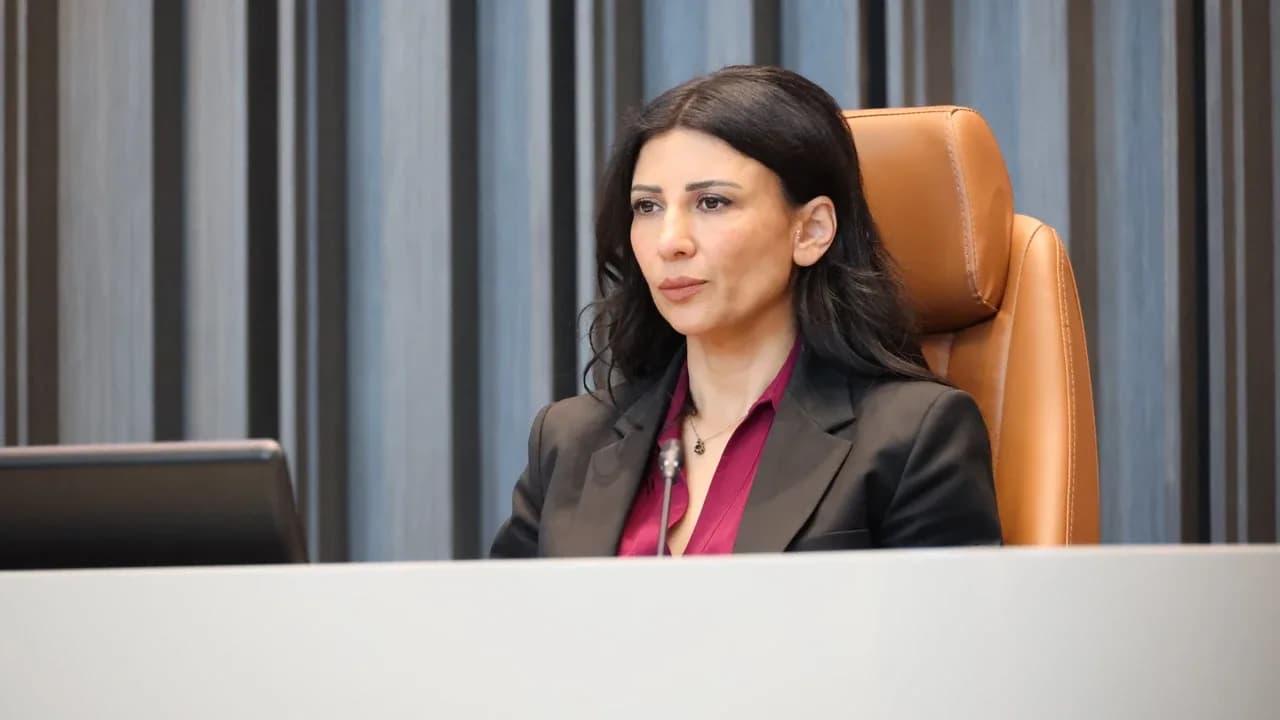 Özdenefe: Ev İçi Şiddet Yasası yok diye düzenleme yokmuş algısı yaratılmamalı