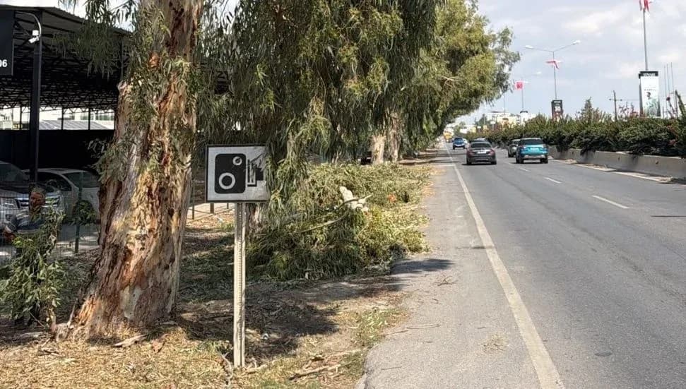 Demirhan mevkiinde yarın sabah budama çalışması yapılacak: Alternatif güzergah paylaşıldı