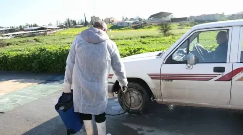 Güney Kıbrıs’ta şap hastalığı kontrol altında