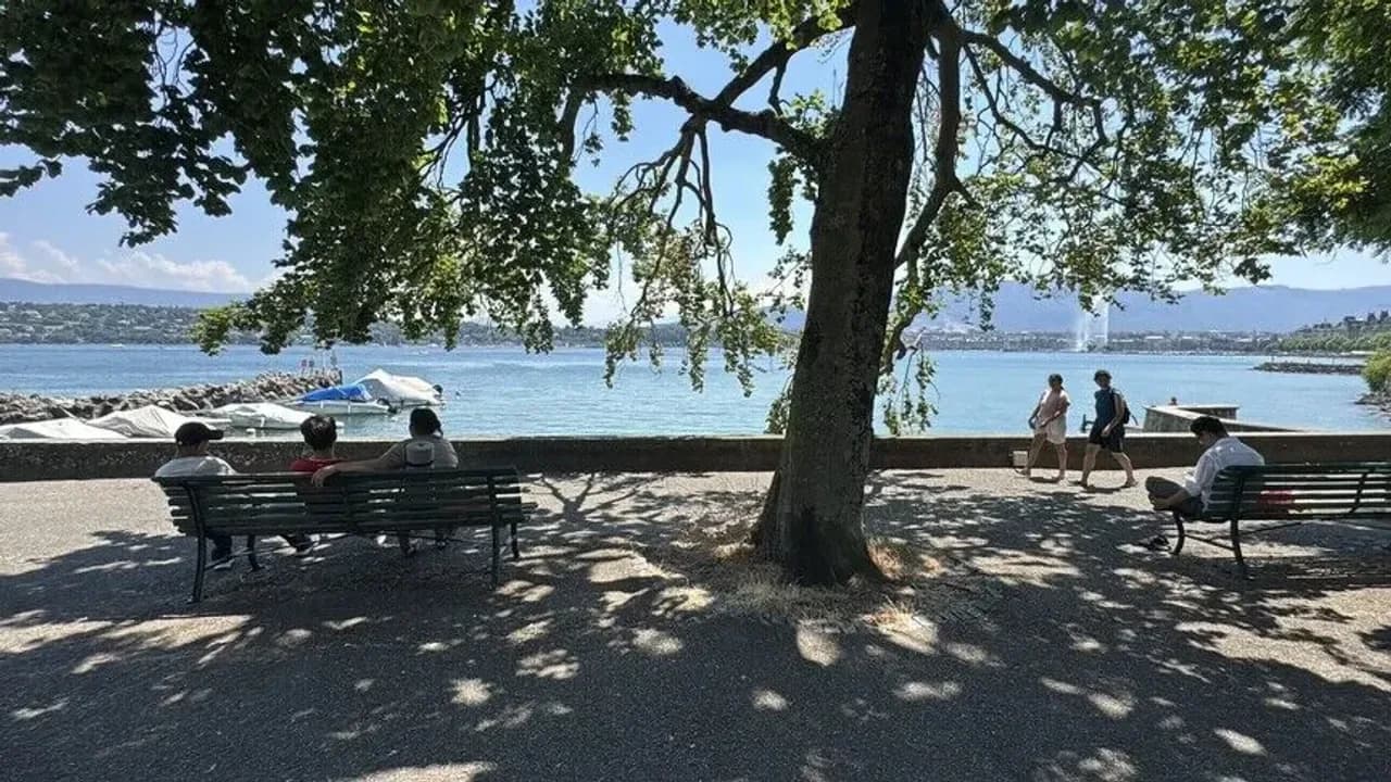 İsviçre'de bu yıl sıcaklar nedeniyle 600'den fazla kişi hayatını kaybetti