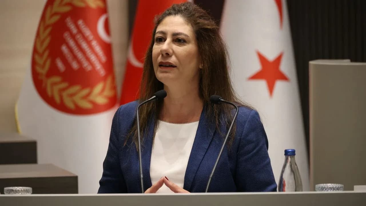 Sıla Usar İncirli’den Meclis gündemine tepki