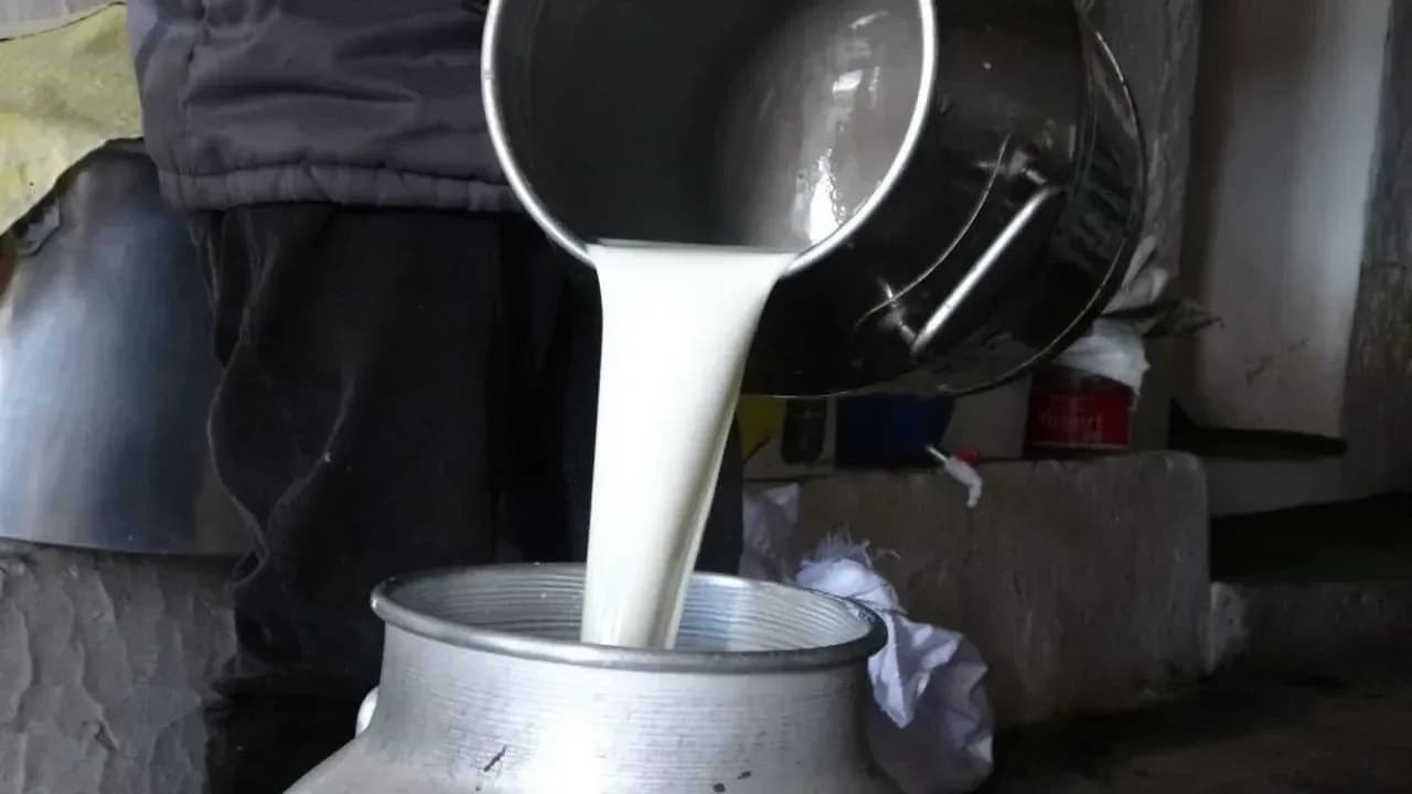 Süt Ürünleri İmalatçıları Birliği’nden çiğ süt zammına tepki