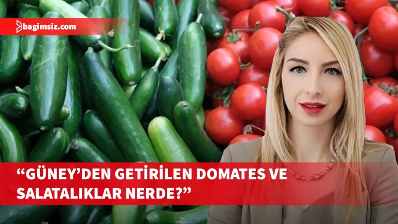Gıda Mühendisleri Odası, kaçak domates ve salatalık konusunda açıklama yapılmasını istedi