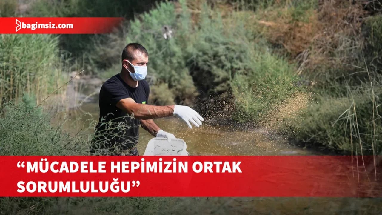 LTB, Batı Nil Virüsü’ne karşı sivrisinek üreme alanlarında mücadeleyi yoğunlaştırdı
