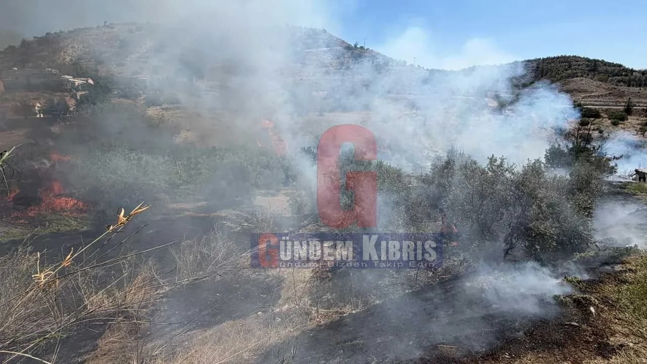 Tedbirsiz Yakılan Kuru Otlar Yangına Dönüştü