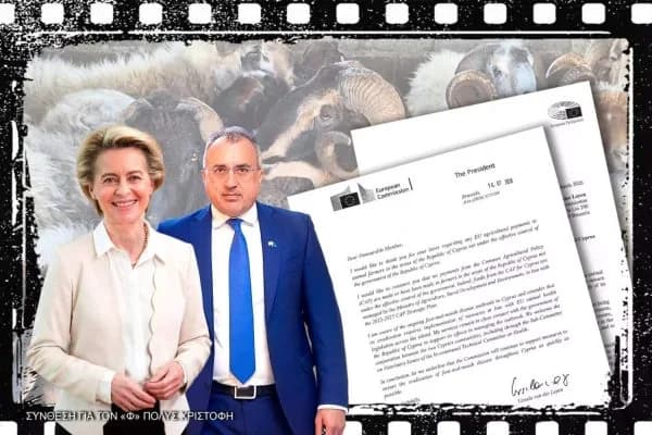 Von der Leyen: “Kuzeydeki hayvancılara AB tarım fonundan ödeme yapılmadı”