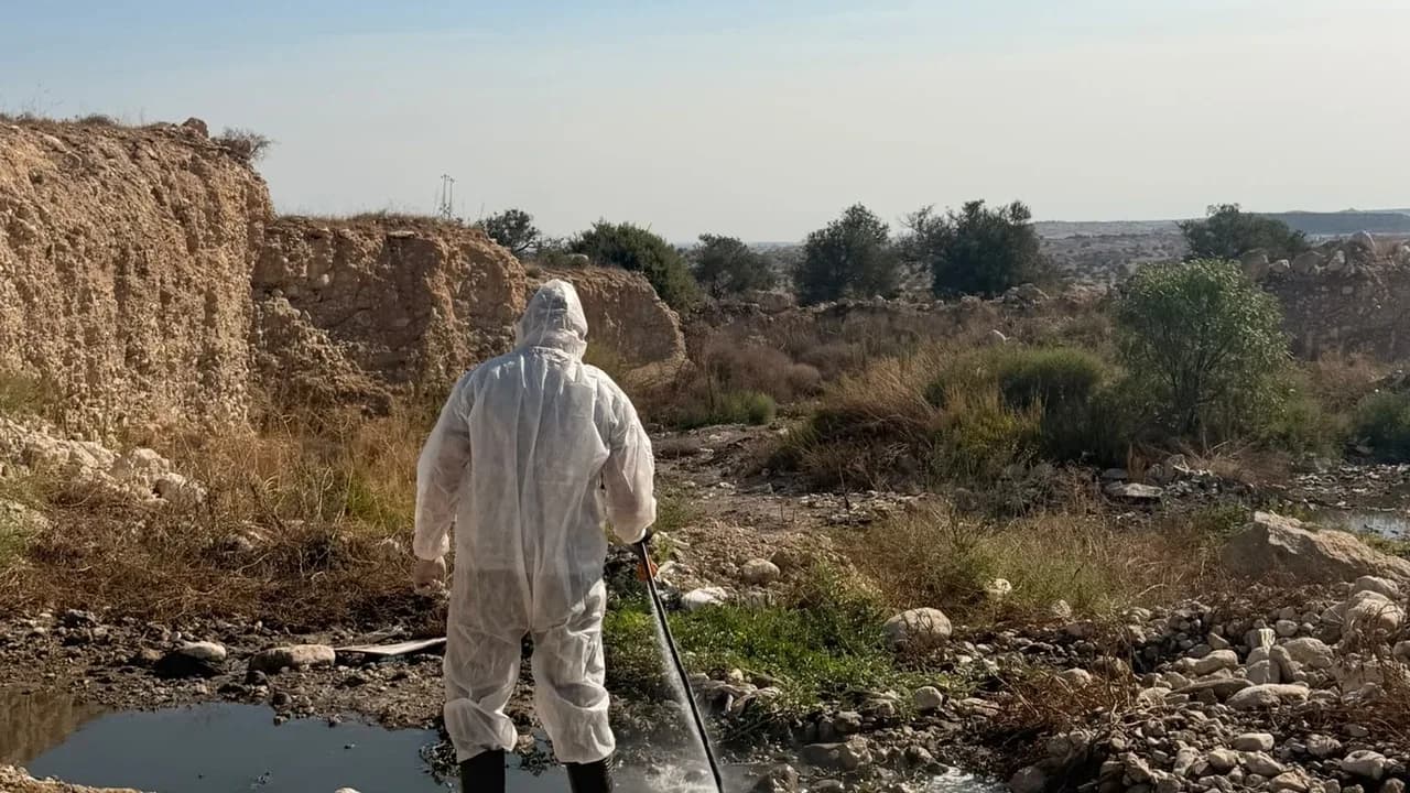 İskele Belediyesi Batı Nil Virüsü’ne karşı sivrisinek mücadelesini yoğunlaştırdı