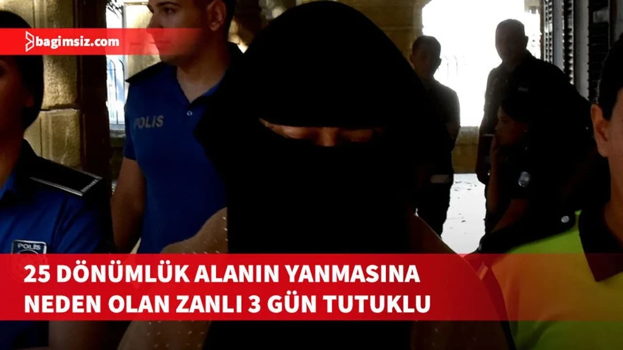 Kuru otları izinsiz yaktı, yangın kontrolden çıktı: 3 gün tutuklu