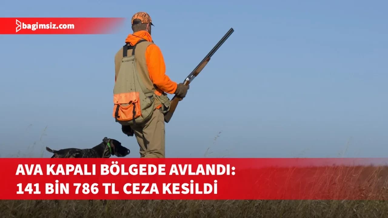 Ava kapalı bölgede kanunsuz avlanan şahsa para cezası kesildi
