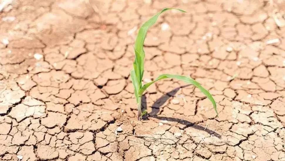 2100'ün sonuna kadar dünyanın yüzde 40'ı kuraklaşabilir