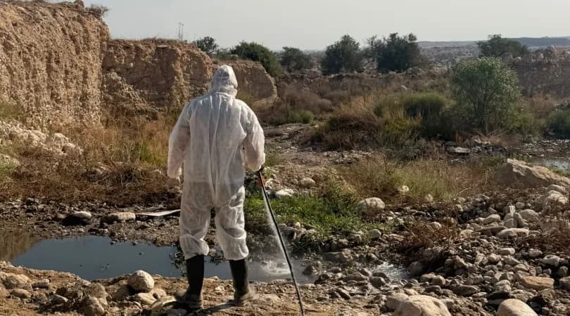İskele Belediyesi, Batı Nil virüsüne karşı sahadaki ilaçlama faaliyetlerini arttırdı