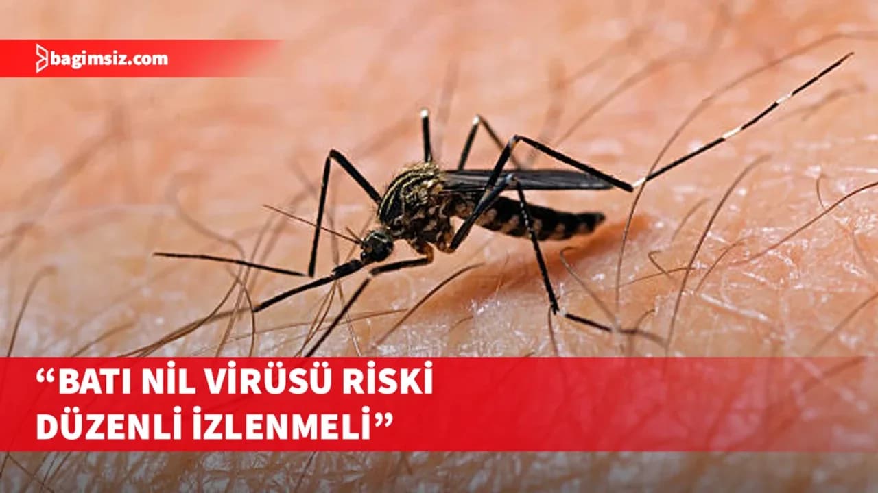 UKÜ’den Batı Nil Virüsü için bilimsel izleme çağrısı
