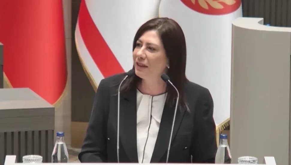 Sıla Usar İncirli: Seçim ve Halk Oylaması Yasası UBP'nin malı değildir