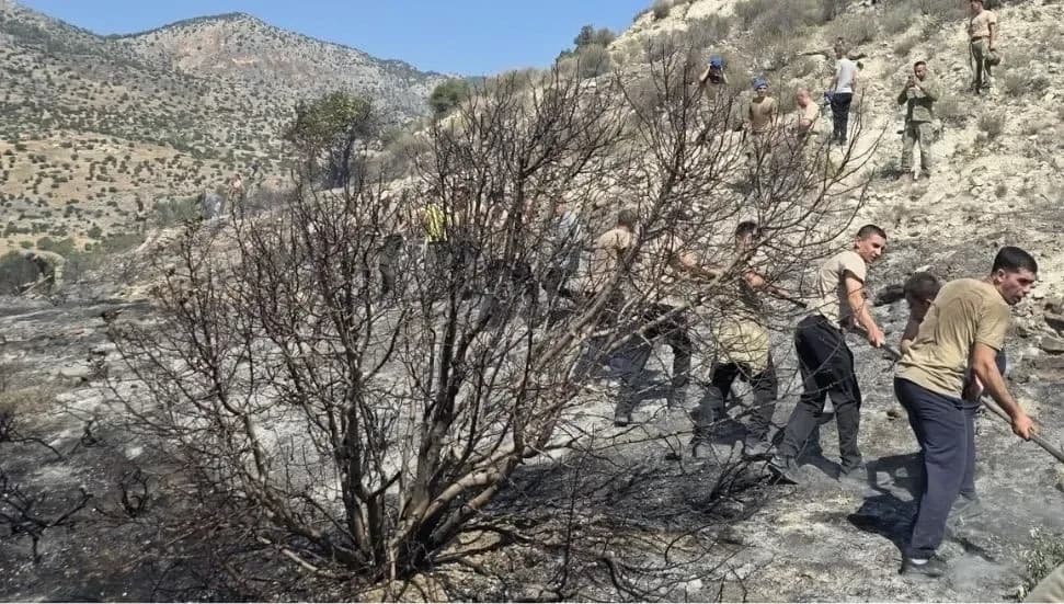 Değirmenlik’te 25 dönüm yandı: Yangına neden olduğu belirtilen kişi tutuklandı