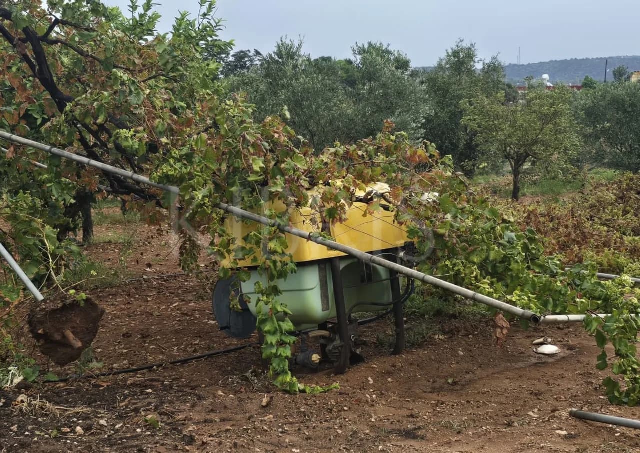 Karpaz’da fırtına ve sağanak yağış hasara yol açtı