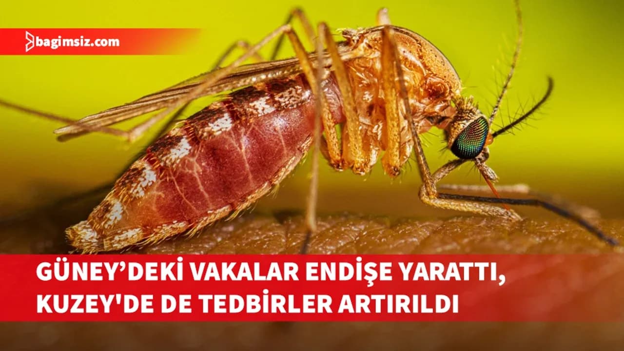 Sınıra yakın iki vaka sonrası tedbirler artırıldı