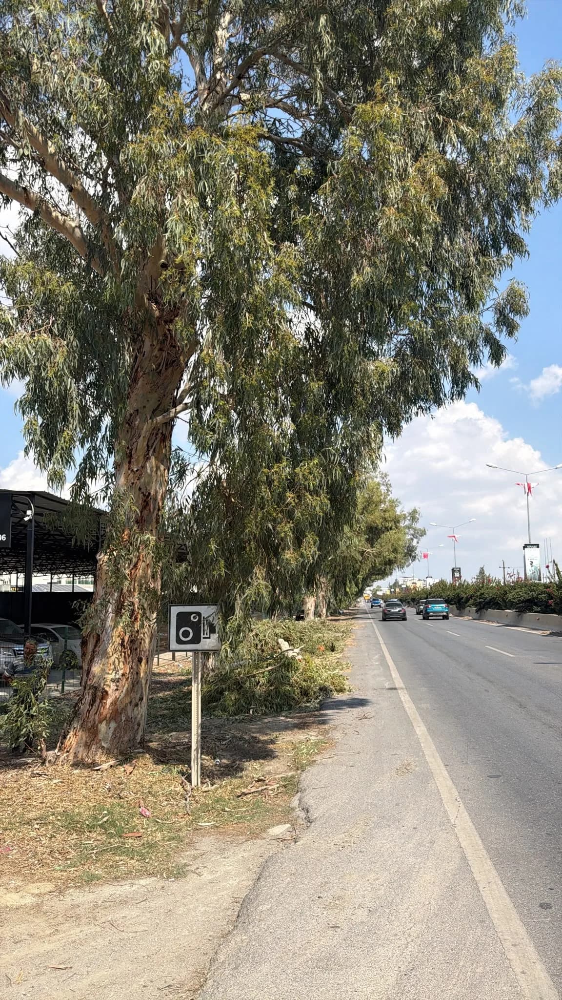 Lefkoşa-Gazimağusa ana yolunda çalışma