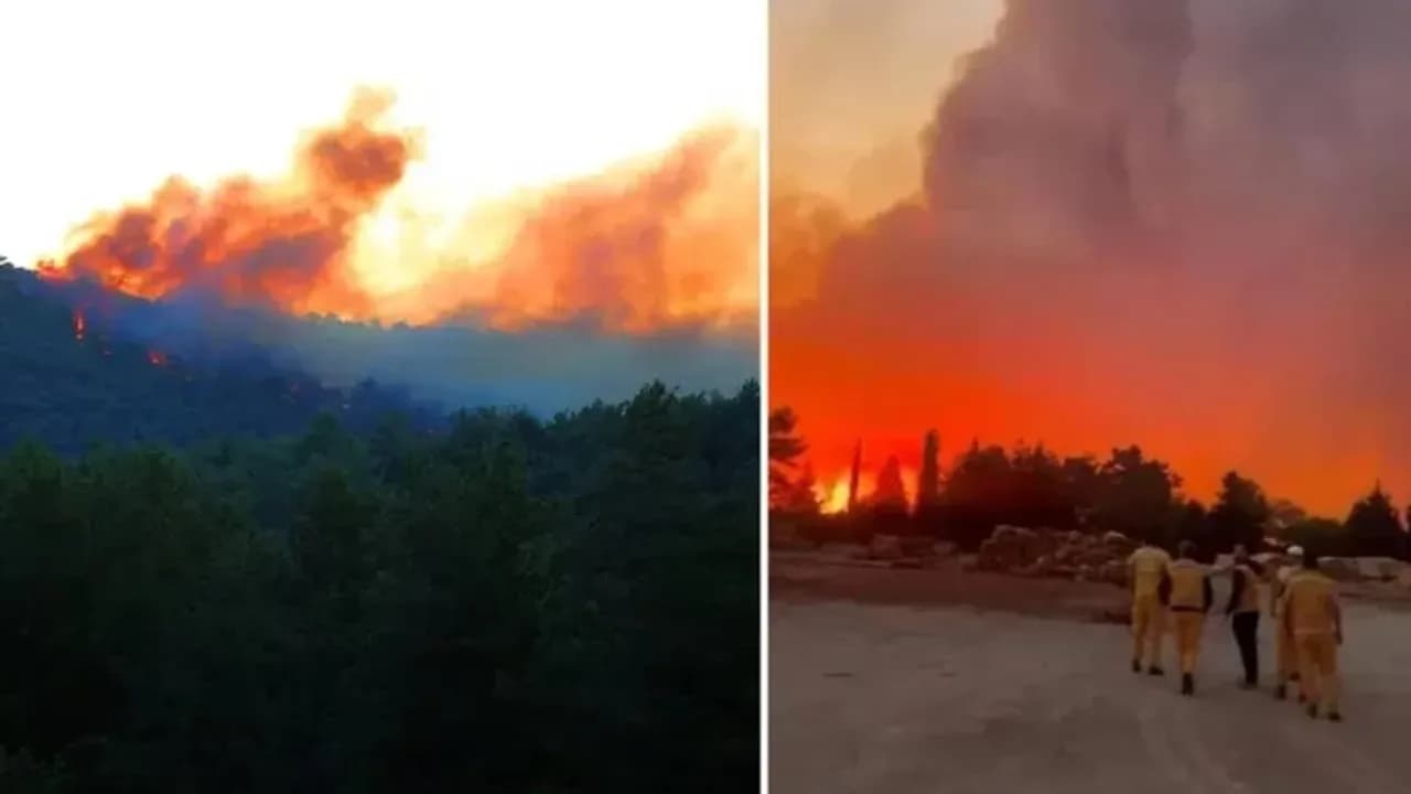 Muğla ve Antalya'da orman yangını: Alevlerle mücadele sürüyor