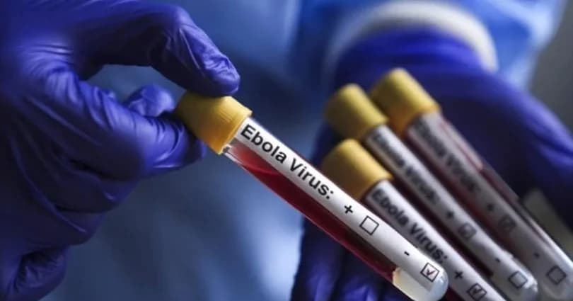 Kongo’da Ebola salgını: Vaka sayısı 8 bini aştı