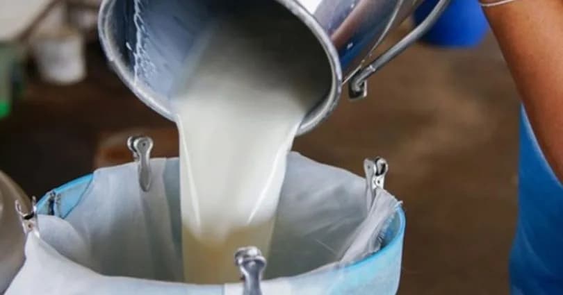 Çiğ süte yüzde 7 zam geldi, süt ürünleri imalatçıları tepki gösterdi