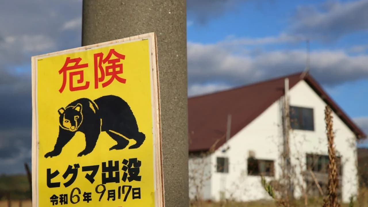 Japonya’da ayı seferberliği: Yapay zeka, dronlar ve robot kurtlar devrede
