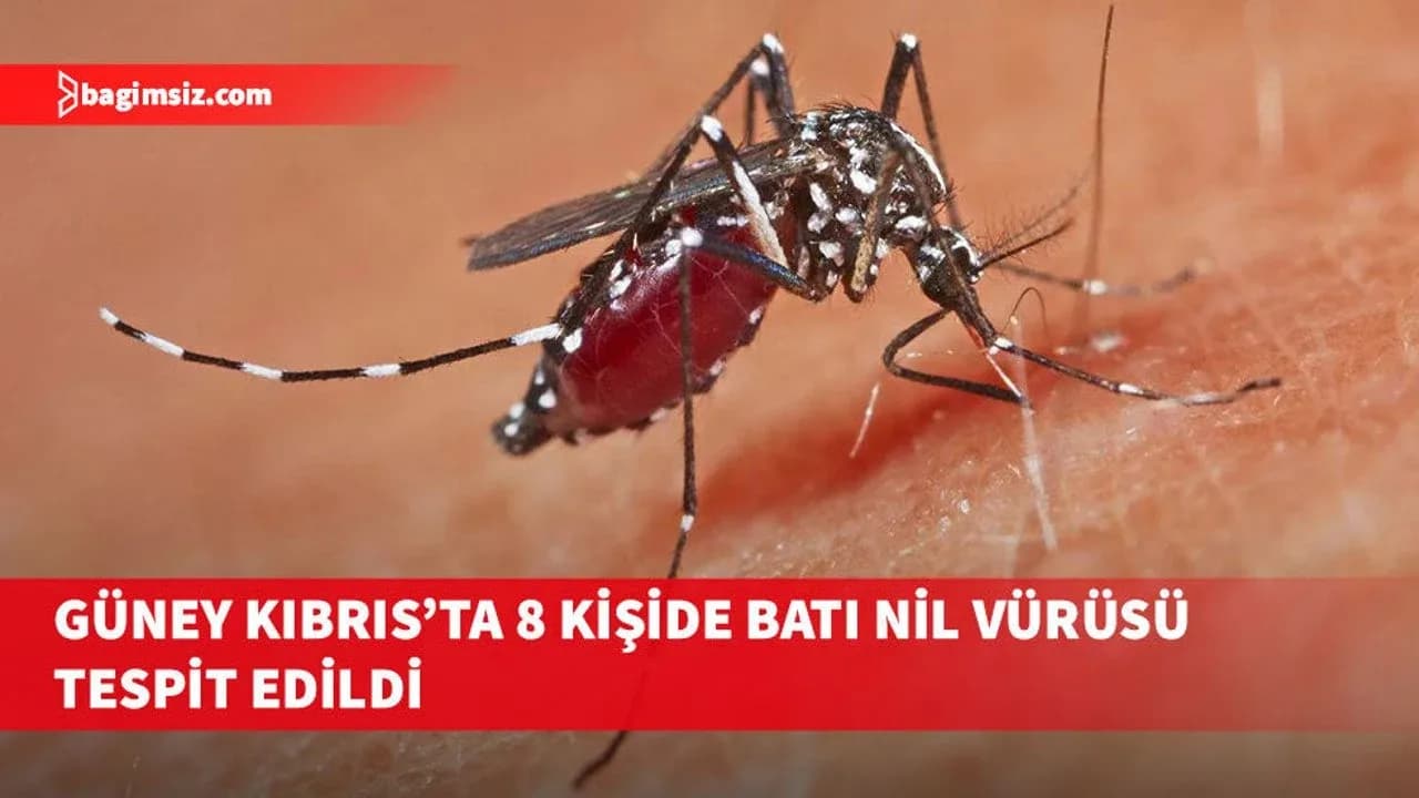 Güney Kıbrıs'ta Batı Nil virüsü vakalarında artış