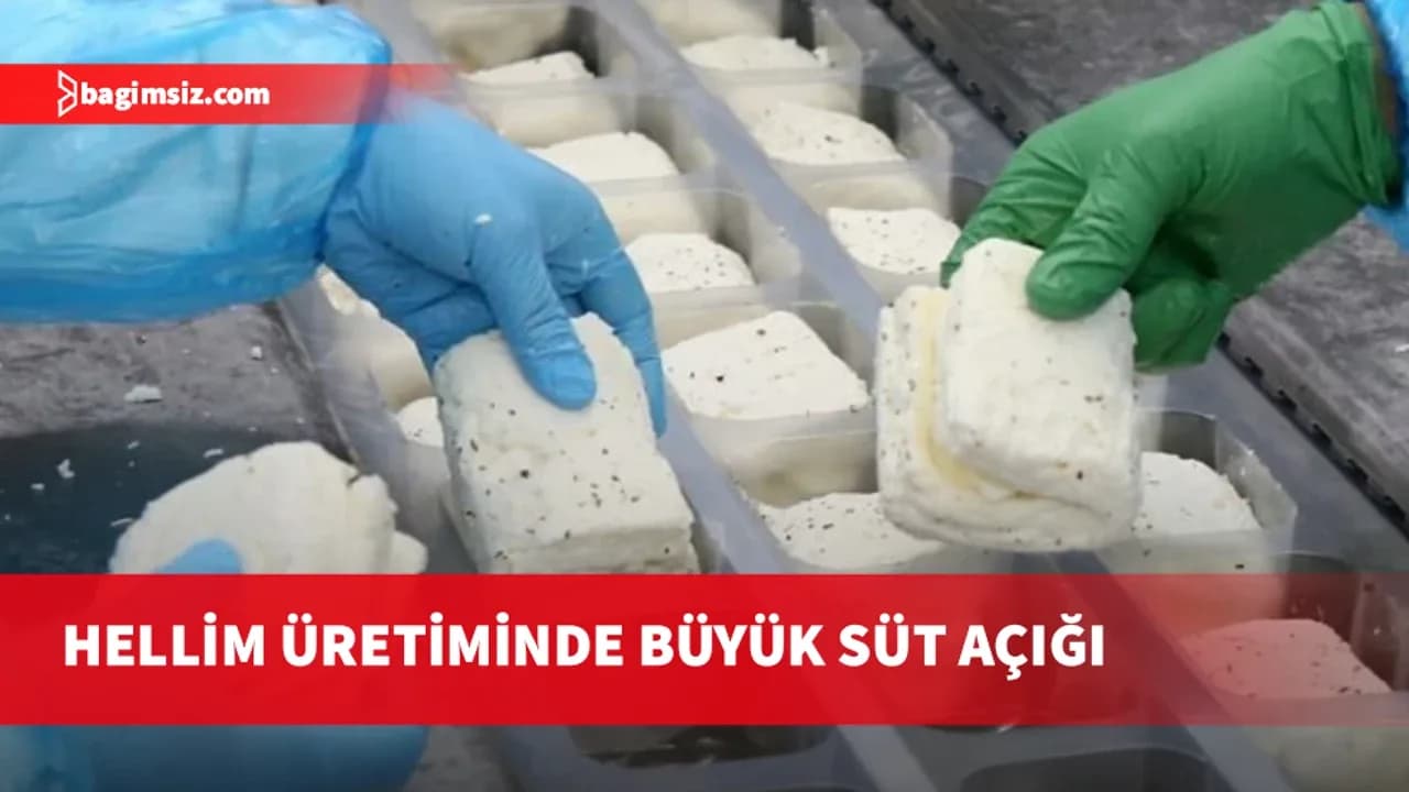 Yıllık süt açığı 144 milyon litre
