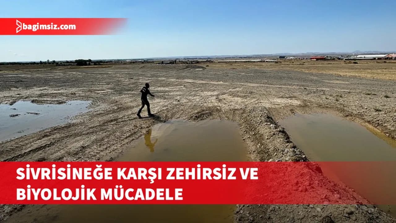 Serinsu: Mücadele uçkun sivrisineğe değil, kaynağa yapılıyor