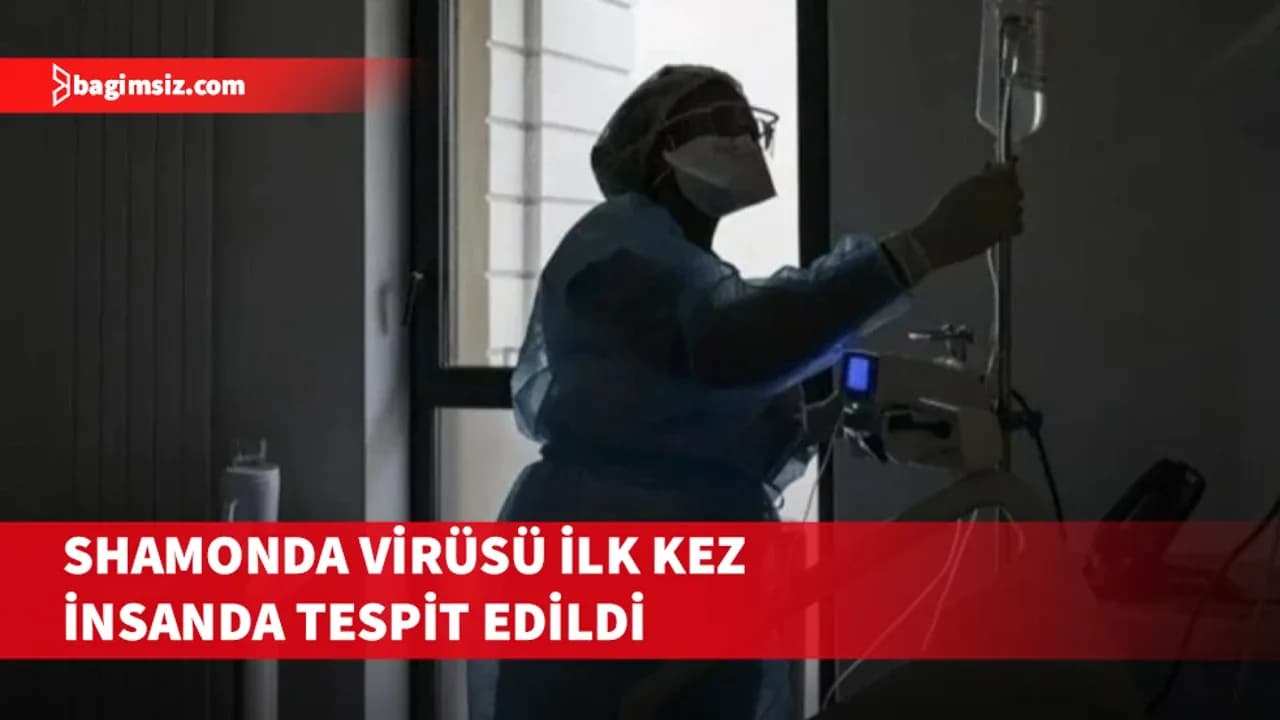 Hayvanlarda görülen Shamonda virüsü ilk kez insanda tespit edildi