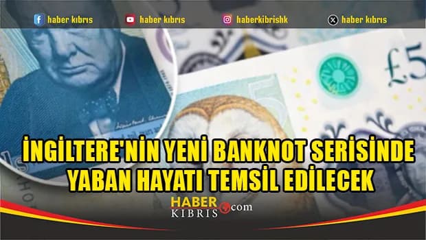 İngiltere'nin yeni banknot serisinde yaban hayatı temsil edilecek