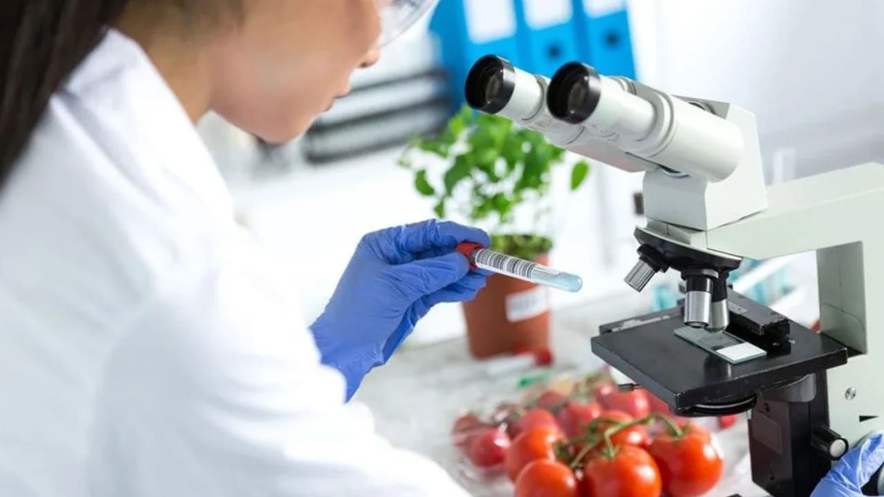 Denetimlerde dört üründe limit üstü veya tavsiye dışı bitki koruma ürünü tespit edildi