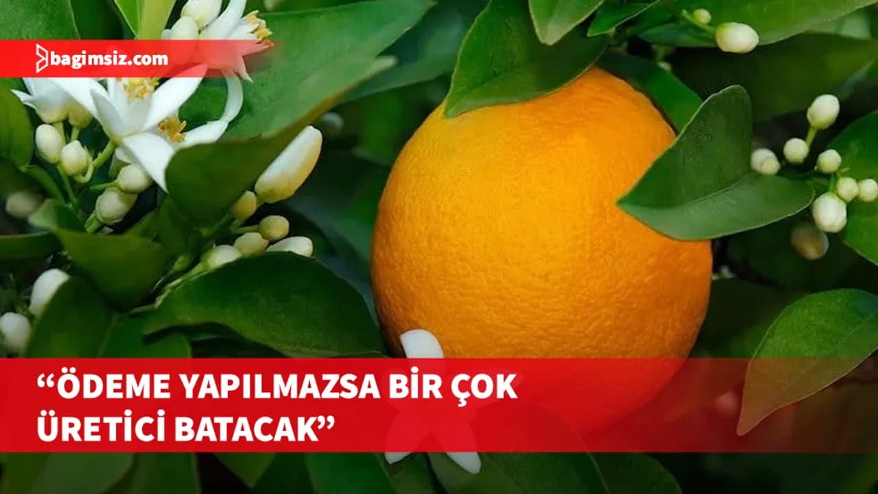 Narenciye Üreticileri Birliği Derneği hala ürün ödemelerinin yapılmadığına işaret etti