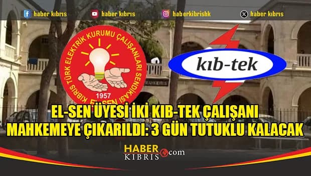 EL-SEN üyesi iki KIB-TEK çalışanı 3 gün tutuklu kalacak