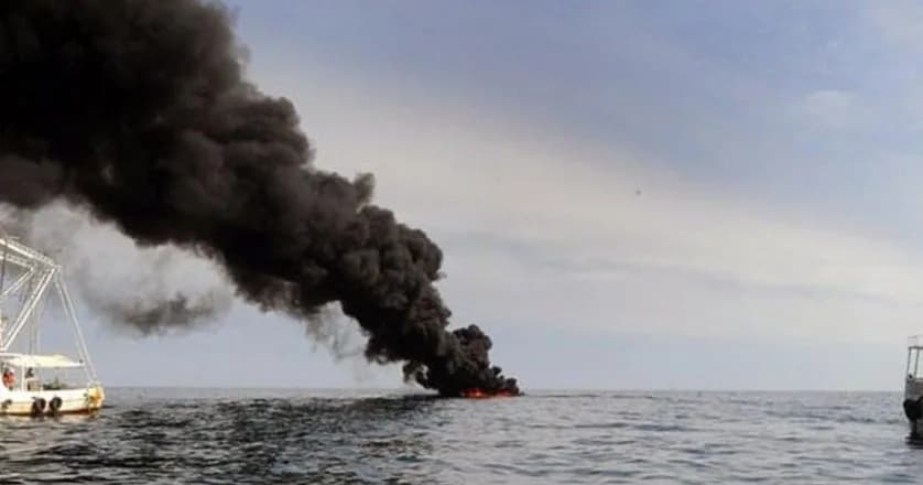 Meksika Körfezi’ndeki petrol kazasından sonra deniz canlıları yüzde 60 azaldı
