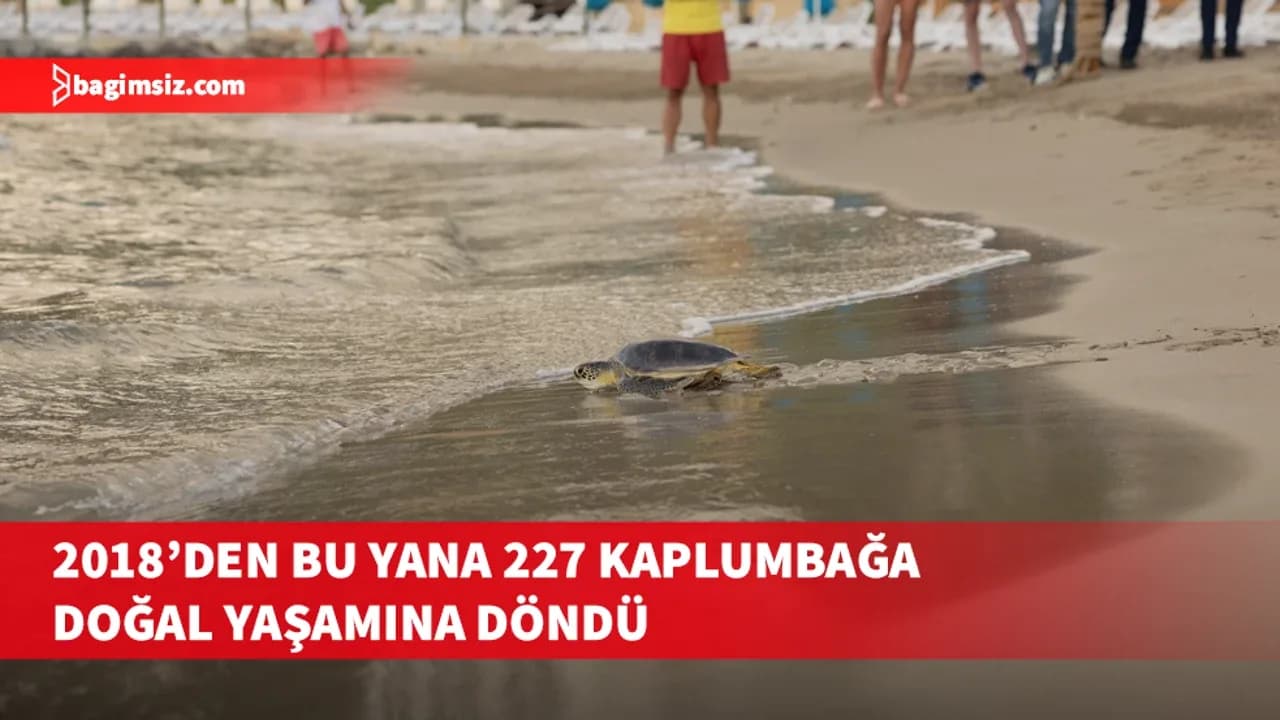 Meritta, 2026 sezonunu altı deniz kaplumbağasını daha denize uğurlayarak tamamladı