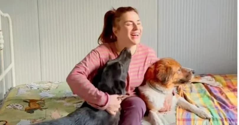 Köpekleri için konteyner ev aldı