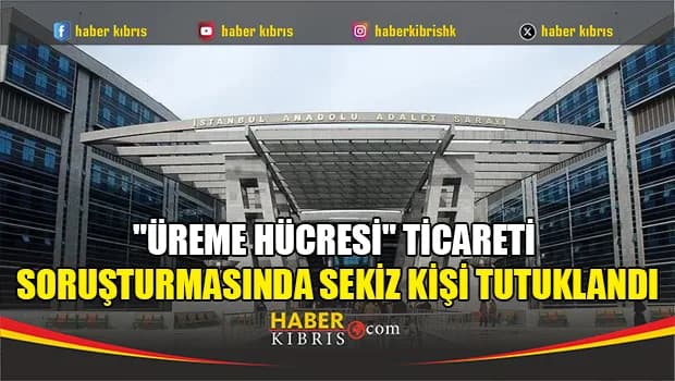 "Üreme hücresi" ticareti soruşturmasında sekiz kişi tutuklandı
